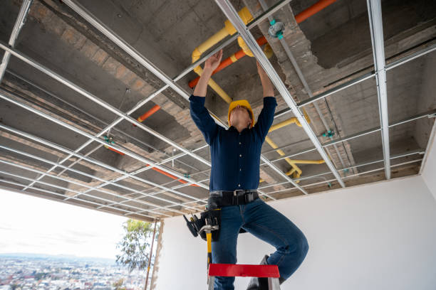 Best Best Plumbers Near Me  in Nashville, MI