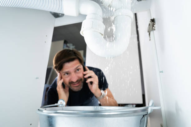  Nashville, MI Plumbing Pros