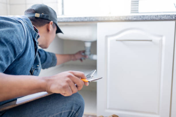 Best Plumbing Installation Services  in Nashville, MI