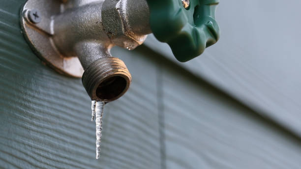 Best Septic Systems  in Nashville, MI